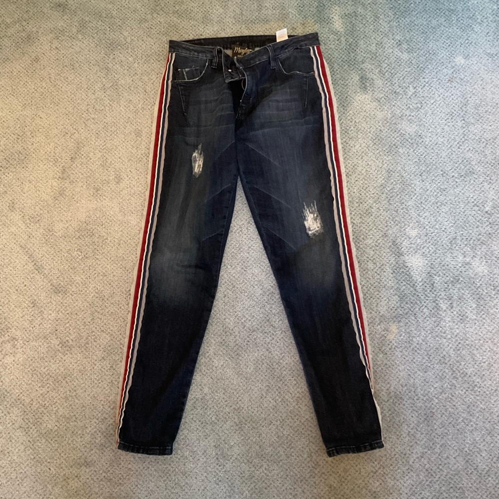 Maryley Blue Skinny Jeans with Chiffon Piping